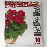 articul-A143389