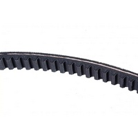 articul-A146245