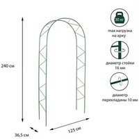 A202477 articul-A202477