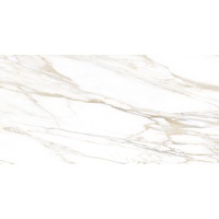 articul-A216021