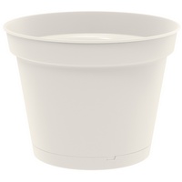 articul-A224924