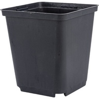 articul-A251433
