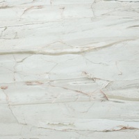 articul-A258891