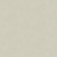 articul-A269756