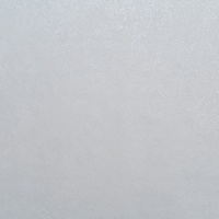 articul-A279581