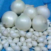 articul-A286761