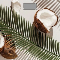 A301187 articul-A301187