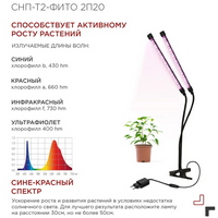 A326486-2 articul-A326486-2