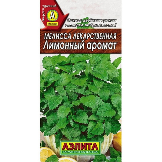 articul-A155379