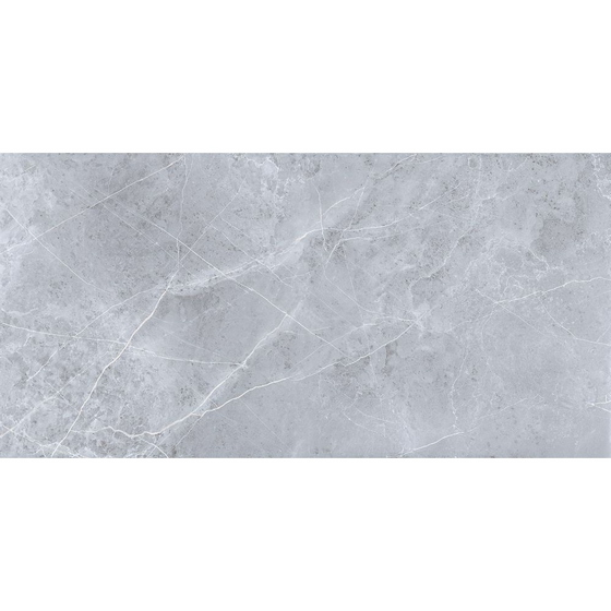 articul-A294618